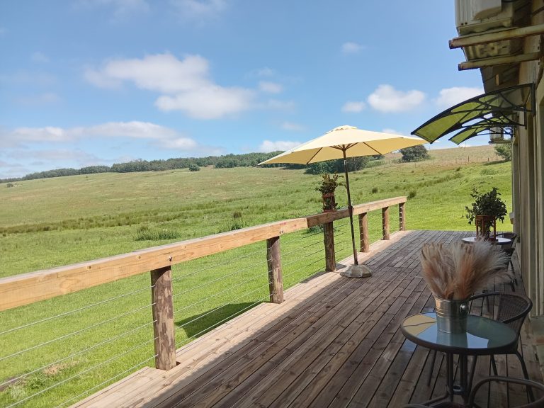 0c6bab65 a8c6 45e6 a67e d98266bd9c4c