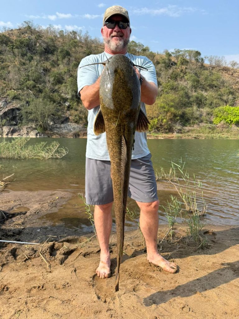 5c1088c3 0ca8 4f73 a687 e87e58abdcec