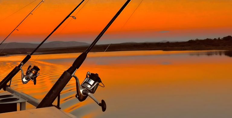 img 20230716 wa0001 2