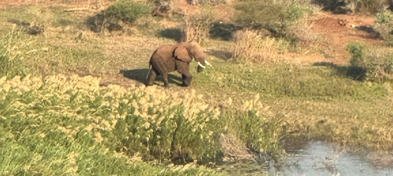 img 20230915 wa0047 2