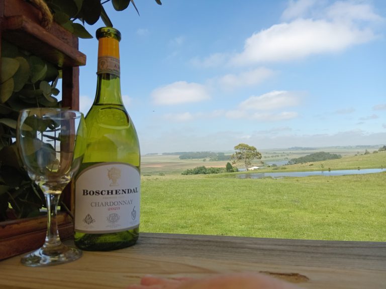 c8ad2dca 1c0f 4d6a 98ff c3b65b08d584